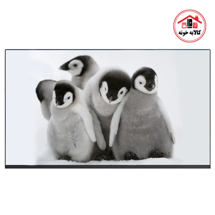 تلویزیون 55 اینچ دوو