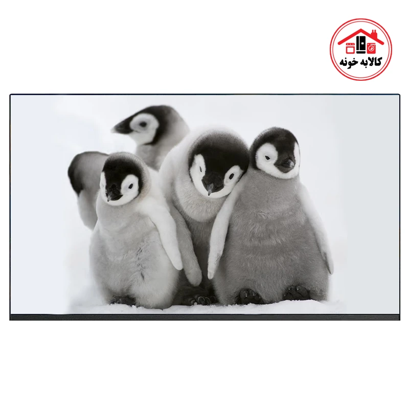 تلویزیون 55 اینچ دوو